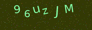 Validation image